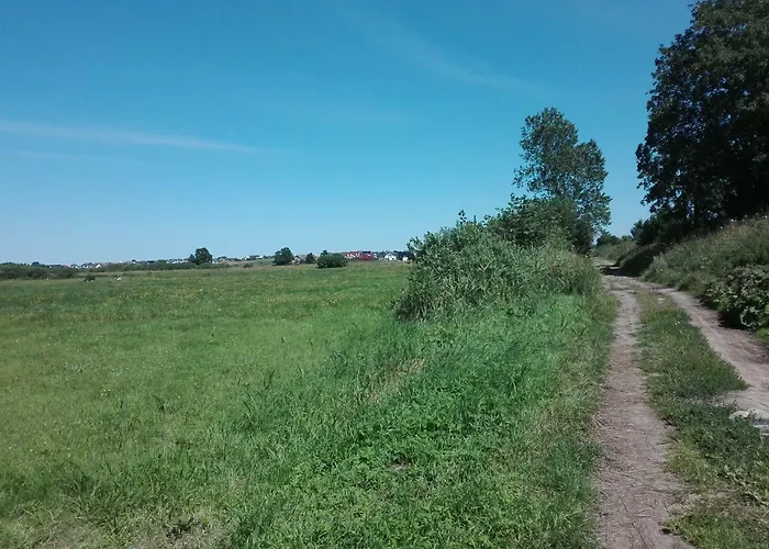 U Gosi Kolo Gdyni Lägenhet *